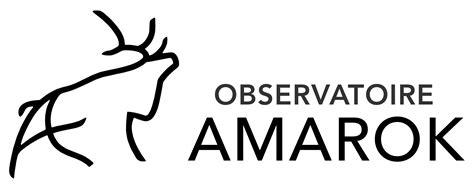 logo AMAROK